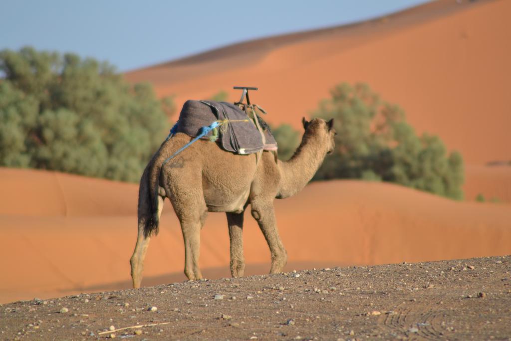 Luxury Maktoub Hotel Merzouga Exterior photo